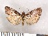  ( - NHMO-08233)  @13 [ ] Unspecified (default): All Rights Reserved  Unspecified Unspecified