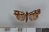 ( - NHMO-08240)  @12 [ ] Unspecified (default): All Rights Reserved  Unspecified Unspecified