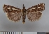  ( - NHMO-08240)  @13 [ ] Unspecified (default): All Rights Reserved  Unspecified Unspecified