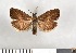  ( - NHMO-08261)  @13 [ ] Unspecified (default): All Rights Reserved  Unspecified Unspecified