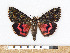  ( - NHMO-08272)  @14 [ ] Unspecified (default): All Rights Reserved  Unspecified Unspecified