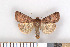 ( - NHMO-08273)  @13 [ ] Unspecified (default): All Rights Reserved  Unspecified Unspecified