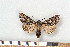  ( - NHMO-2011.064)  @13 [ ] Unspecified (default): All Rights Reserved  Unspecified Unspecified