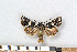  ( - NHMO-2011.071)  @13 [ ] Unspecified (default): All Rights Reserved  Unspecified Unspecified