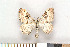  ( - NHMO-2011.078)  @13 [ ] Unspecified (default): All Rights Reserved  Unspecified Unspecified