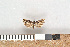  ( - NHMO-2011.107)  @12 [ ] Unspecified (default): All Rights Reserved  Unspecified Unspecified