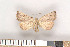  ( - NHMO-2011.119)  @14 [ ] Unspecified (default): All Rights Reserved  Unspecified Unspecified
