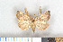  ( - NHMO-2011.147)  @13 [ ] Unspecified (default): All Rights Reserved  Unspecified Unspecified