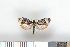  ( - NHMO-2011.155)  @12 [ ] Unspecified (default): All Rights Reserved  Unspecified Unspecified
