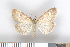  ( - NHMO-2011.157)  @13 [ ] Unspecified (default): All Rights Reserved  Unspecified Unspecified