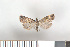  ( - NHMO-2011.161)  @14 [ ] Unspecified (default): All Rights Reserved  Unspecified Unspecified