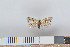  ( - NHMO-2011.175)  @12 [ ] Unspecified (default): All Rights Reserved  Unspecified Unspecified