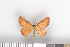  ( - NHMO-2011.205)  @12 [ ] Unspecified (default): All Rights Reserved  Unspecified Unspecified