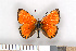  ( - NHMO-2011.206)  @14 [ ] Unspecified (default): All Rights Reserved  Unspecified Unspecified