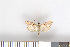  ( - NHMO-2011.230)  @12 [ ] Unspecified (default): All Rights Reserved  Unspecified Unspecified