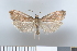  ( - NHMO-2011.234)  @14 [ ] Unspecified (default): All Rights Reserved  Unspecified Unspecified
