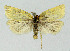  ( - NHMO-DAR-3965)  @13 [ ] No Rights Reserved (2014) Arrild Johnsen Natural history museum, University of Oslo