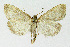  ( - NHMO-DAR-4001)  @13 [ ] No Rights Reserved (2014) Arrild Johnsen Natural history museum, University of Oslo