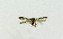  ( - NHMO-DAR-4015)  @12 [ ] No Rights Reserved (2014) Arrild Johnsen Natural history museum, University of Oslo