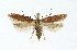  ( - NHMO-DAR-4035)  @13 [ ] No Rights Reserved (2014) Arrild Johnsen Natural history museum, University of Oslo