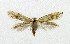  ( - NHMO-DAR-5127)  @13 [ ] Copyright (2015) Unspecified University of Oslo, Natural History Museum