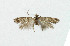  ( - NHMO-DAR-5140)  @11 [ ] Copyright (2015) Unspecified University of Oslo, Natural History Museum