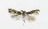  ( - NHMO-DAR-5152)  @12 [ ] Copyright (2015) Unspecified University of Oslo, Natural History Museum