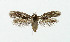  ( - NHMO-DAR-5166)  @11 [ ] Copyright (2015) Unspecified University of Oslo, Natural History Museum