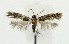  ( - NHMO-DAR-6324)  @14 [ ] Copyright (2015) Unspecified University of Oslo, Natural History Museum