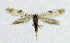 ( - NHMO-DAR-6341)  @14 [ ] Copyright (2015) Unspecified University of Oslo, Natural History Museum