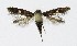  ( - NHMO-DAR-8599)  @13 [ ] CreativeCommons - Attribution Non-Commercial Share-Alike (2016) Unspecified University of Oslo, Natural History Museum