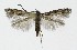  ( - NHMO-DAR-8609)  @14 [ ] CreativeCommons - Attribution Non-Commercial Share-Alike (2016) Unspecified University of Oslo, Natural History Museum
