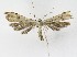  ( - NHMO-DAR-8632)  @13 [ ] CreativeCommons - Attribution Non-Commercial Share-Alike (2016) Unspecified University of Oslo, Natural History Museum
