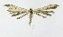  ( - NHMO-DAR-8634)  @13 [ ] CreativeCommons - Attribution Non-Commercial Share-Alike (2016) Unspecified University of Oslo, Natural History Museum