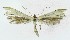  ( - NHMO-DAR-8638)  @13 [ ] CreativeCommons - Attribution Non-Commercial Share-Alike (2016) Unspecified University of Oslo, Natural History Museum