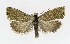  ( - NHMO-DAR-8682)  @13 [ ] CreativeCommons - Attribution Non-Commercial Share-Alike (2016) Unspecified University of Oslo, Natural History Museum