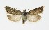  ( - NHMO-DAR-8683)  @13 [ ] CreativeCommons - Attribution Non-Commercial Share-Alike (2016) Unspecified University of Oslo, Natural History Museum