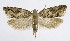  ( - NHMO-DAR-8737)  @14 [ ] CreativeCommons - Attribution Non-Commercial Share-Alike (2016) Unspecified University of Oslo, Natural History Museum