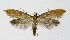  ( - NHMO-DAR-8962)  @14 [ ] CreativeCommons - Attribution Non-Commercial Share-Alike (2016) Unspecified University of Oslo, Natural History Museum