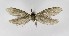  ( - NHMO-DAR-8970)  @11 [ ] CreativeCommons - Attribution Non-Commercial Share-Alike (2016) Unspecified University of Oslo, Natural History Museum