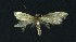  ( - NHMO-DAR-8985)  @11 [ ] CreativeCommons - Attribution Non-Commercial Share-Alike (2016) Unspecified University of Oslo, Natural History Museum