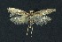  ( - NHMO-DAR-9033)  @13 [ ] CreativeCommons - Attribution Non-Commercial Share-Alike (2016) Unspecified University of Oslo, Natural History Museum