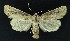  ( - NHMO-DAR-9102)  @14 [ ] CreativeCommons - Attribution Non-Commercial Share-Alike (2016) Unspecified University of Oslo, Natural History Museum