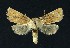  ( - NHMO-DAR-9107)  @14 [ ] CreativeCommons - Attribution Non-Commercial Share-Alike (2016) Unspecified University of Oslo, Natural History Museum