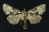  ( - NHMO-DAR-9115)  @14 [ ] CreativeCommons - Attribution Non-Commercial Share-Alike (2016) Unspecified University of Oslo, Natural History Museum