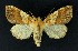  ( - NHMO-DAR-9158)  @14 [ ] CreativeCommons - Attribution Non-Commercial Share-Alike (2016) Unspecified University of Oslo, Natural History Museum