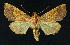  ( - NHMO-DAR-9159)  @13 [ ] CreativeCommons - Attribution Non-Commercial Share-Alike (2016) Unspecified University of Oslo, Natural History Museum