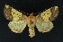  ( - NHMO-DAR-9160)  @14 [ ] CreativeCommons - Attribution Non-Commercial Share-Alike (2016) Unspecified University of Oslo, Natural History Museum