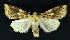  ( - NHMO-DAR-9164)  @11 [ ] CreativeCommons - Attribution Non-Commercial Share-Alike (2016) Unspecified University of Oslo, Natural History Museum