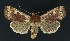  ( - NHMO-DAR-9187)  @14 [ ] CreativeCommons - Attribution Non-Commercial Share-Alike (2016) Unspecified University of Oslo, Natural History Museum